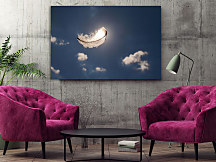 Obraz Letiace pierko 1356